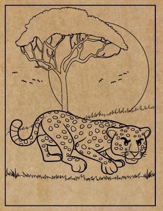 Animal Engraved Canvas