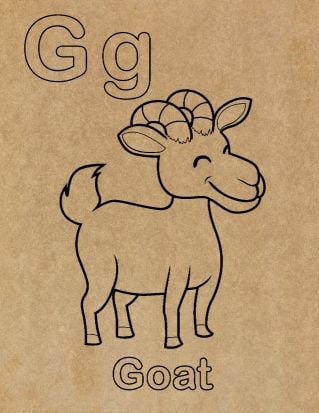 Preschool Alphabet Engraved Canvas