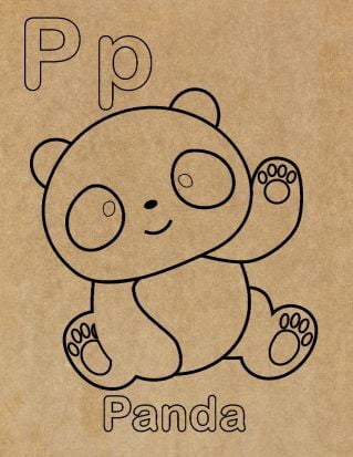 Preschool Alphabet Engraved Canvas